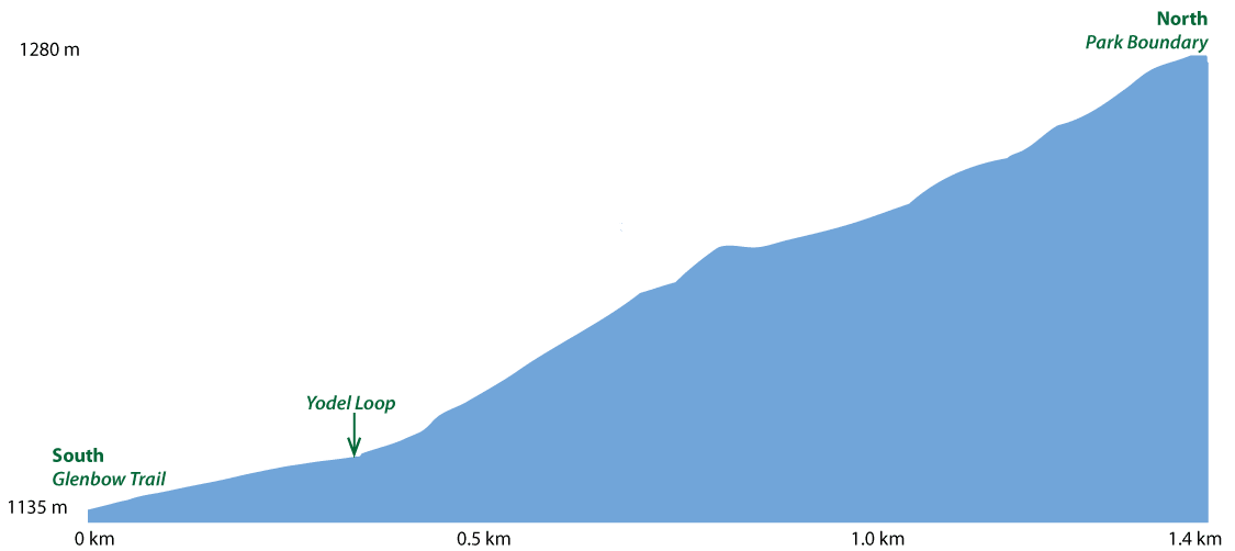 Scott Trail