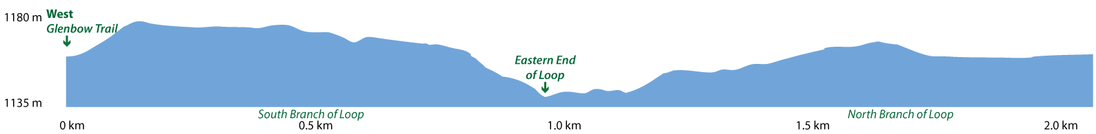 Yodel Loop