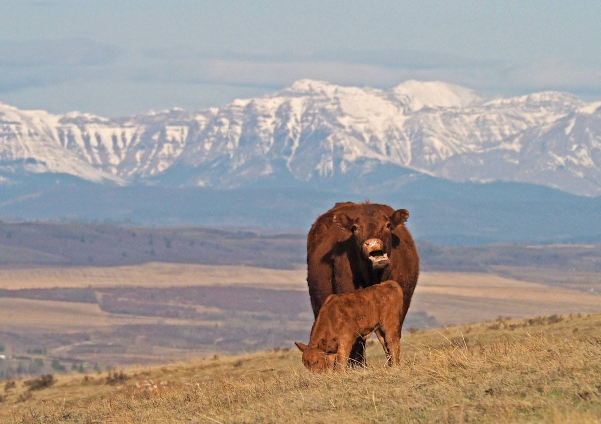 Alberta Outdoor School Programs