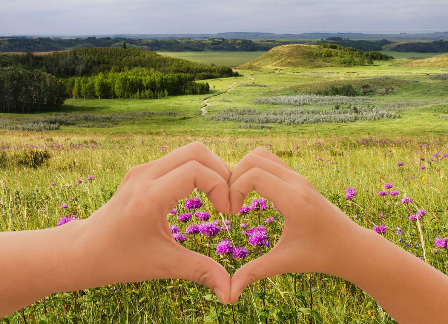 Volunteer at Glenbow Ranch