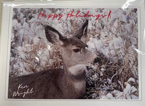 Holiday Card