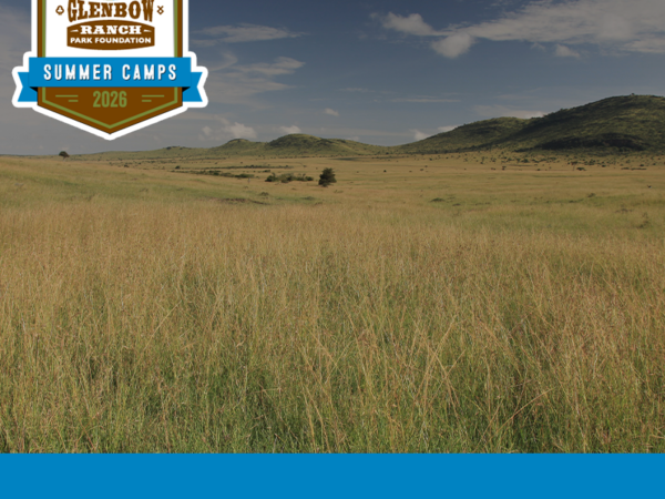 Nature's Stage Summer Camp (Ages 9 - 13)