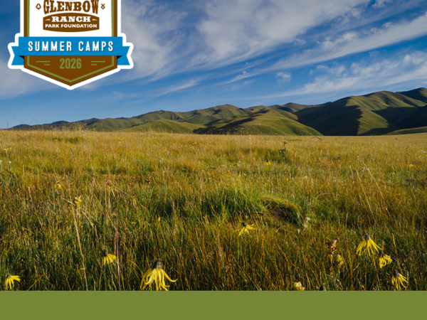 Nature's Stage Summer Camp (Ages 6 - 8)