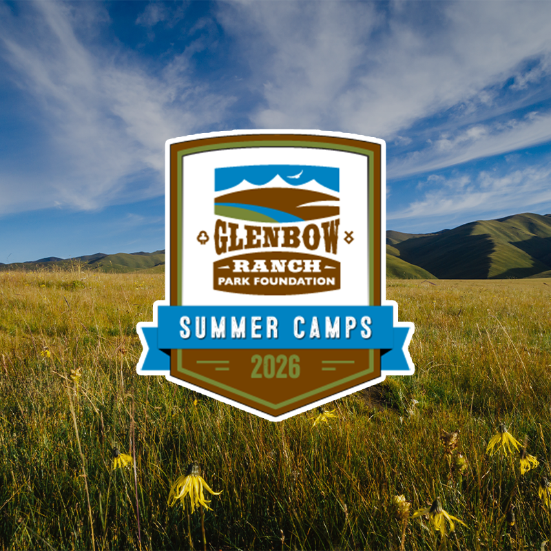 Summer Camp Registration Now Open!