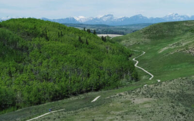 Glenbow Ranch Management Plan Engagement