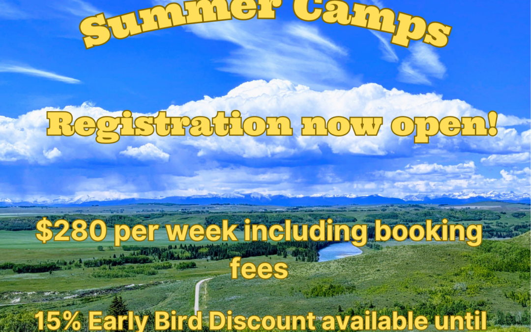 Summer camp registration is still available!