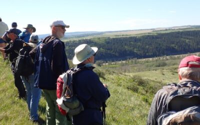 June Newsletter