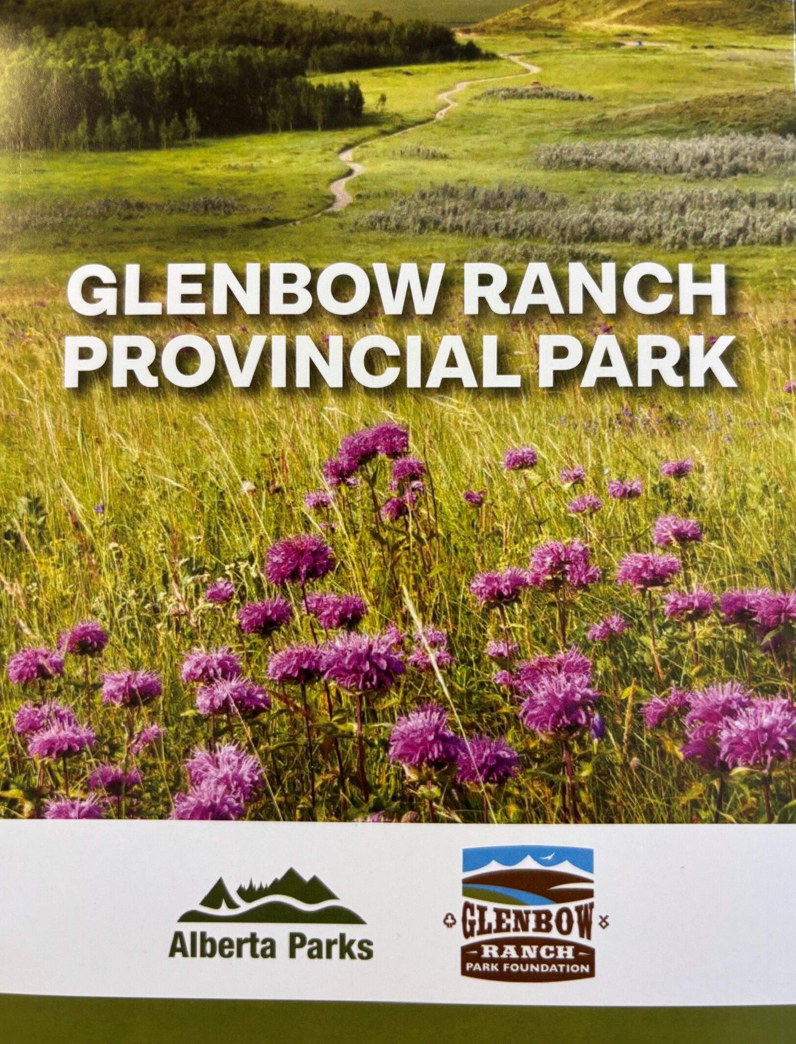 Website brochures
